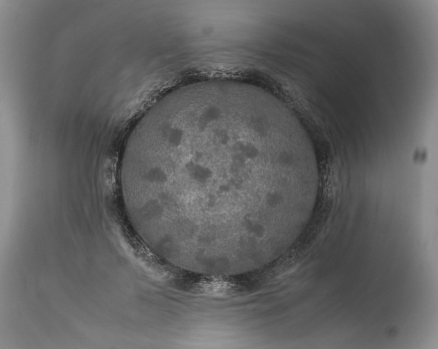 X0000113600695200910021741