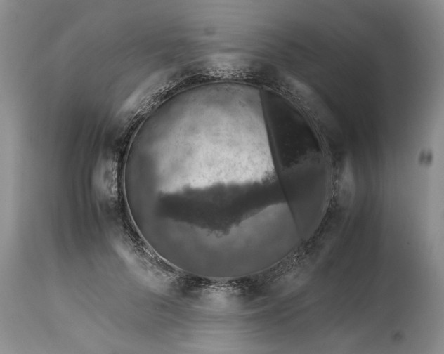 X0000113600696200910021741