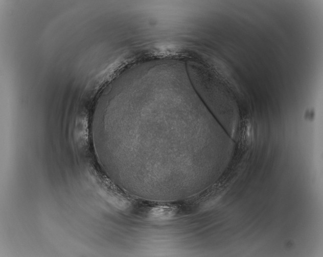 X0000113600700200910021741