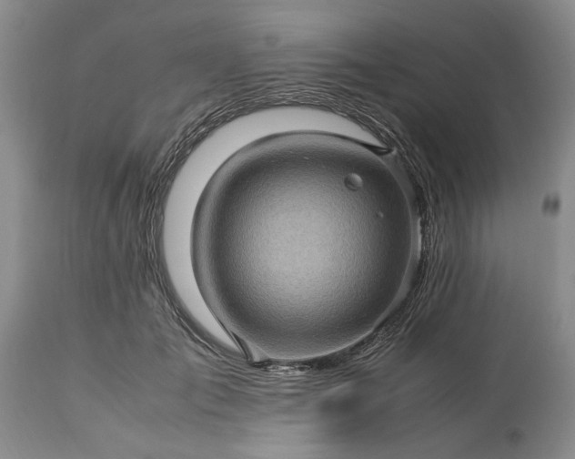 X0000113600701200910021741