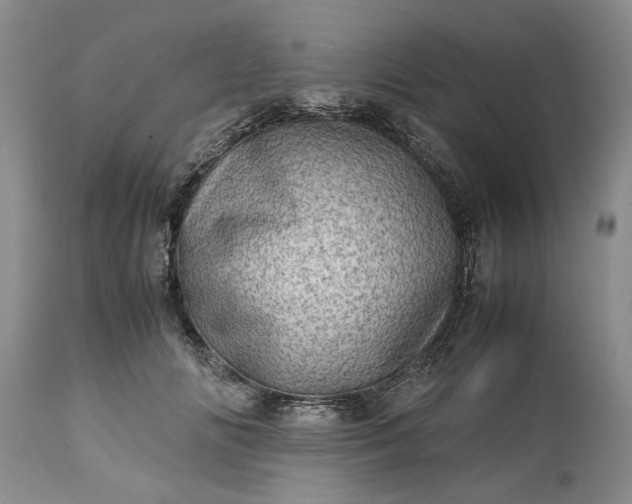 X0000113600702200910021741