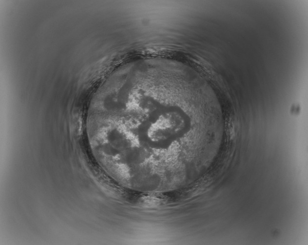 X0000113600703200910021741