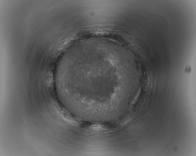 X0000113600704200910021741