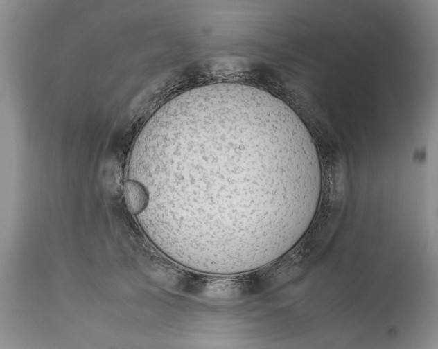 X0000113600705200910021741