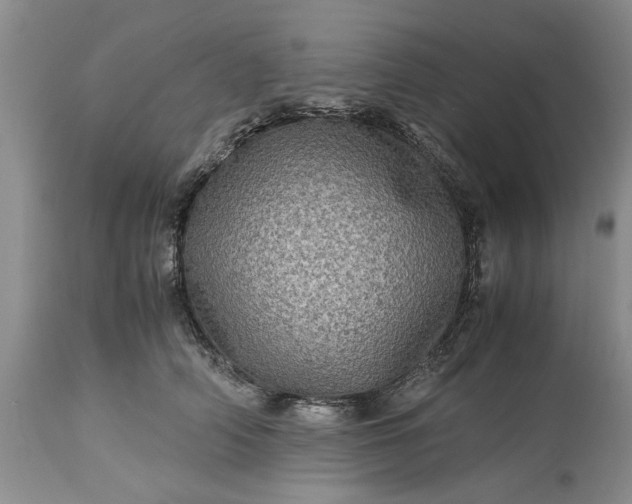 X0000113600706200910021741