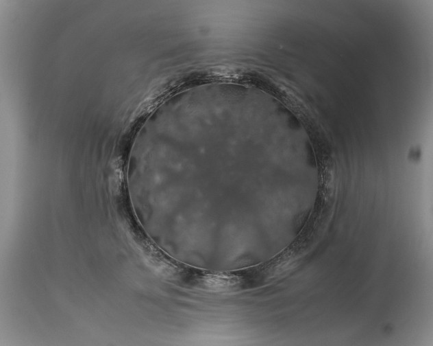 X0000113600707200910021741