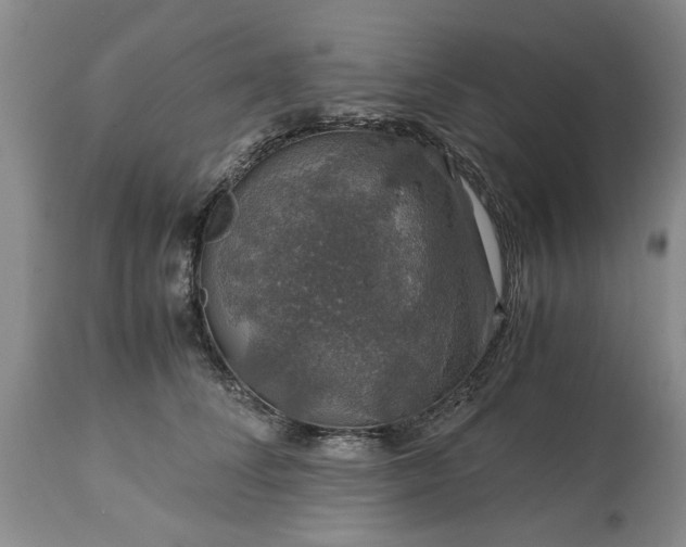 X0000113600708200910021741