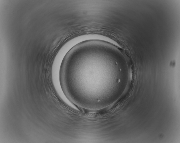 X0000113600709200910021741