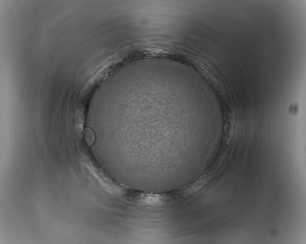 X0000113600710200910021741