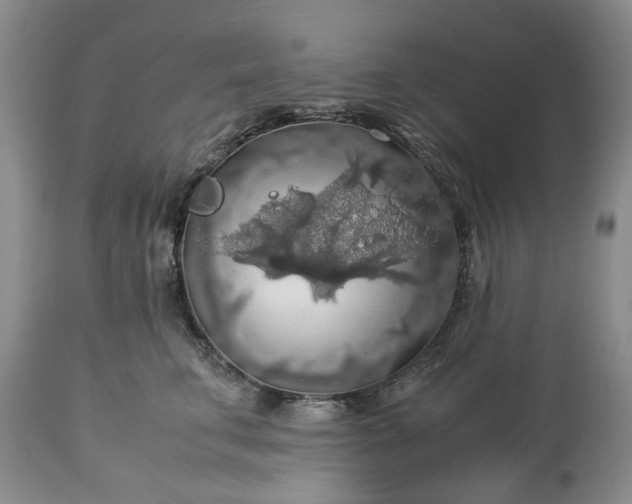 X0000113600711200910021741