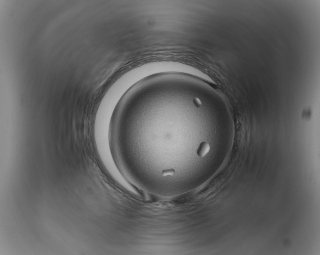 X0000113600712200910021741