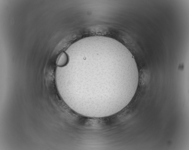 X0000113600713200910021741