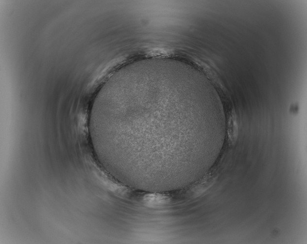 X0000113600714200910021741