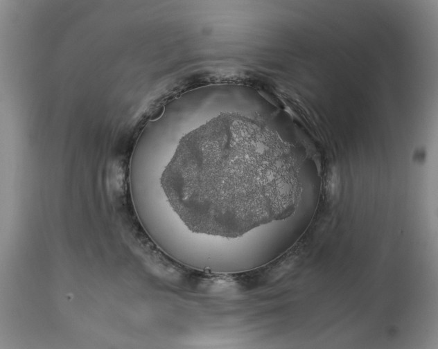 X0000113600715200910021741