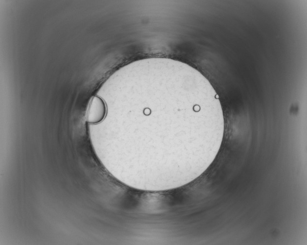 X0000113600717200910021741