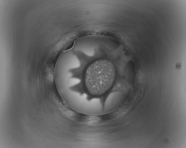 X0000113600719200910021741