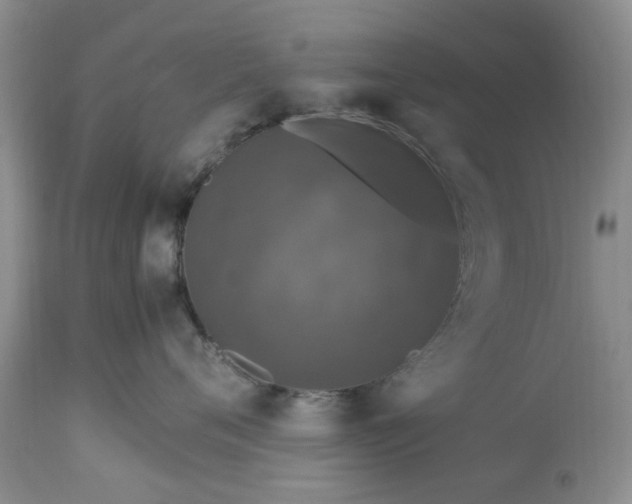 X0000113600720200910021741