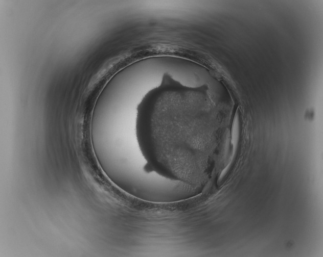 X0000113600722200910021740