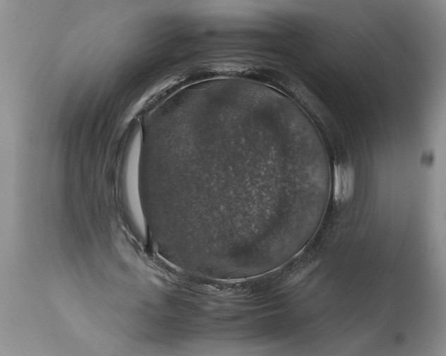 X0000113600723200910021740