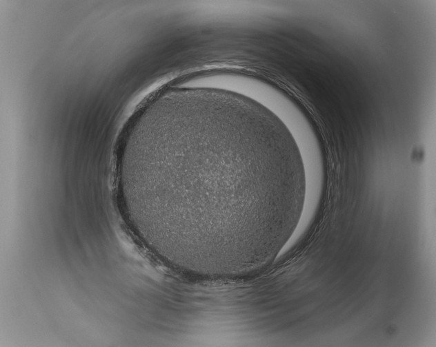 X0000113600724200910021740