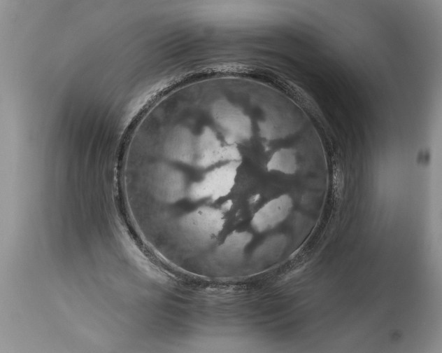 X0000113600725200910021740