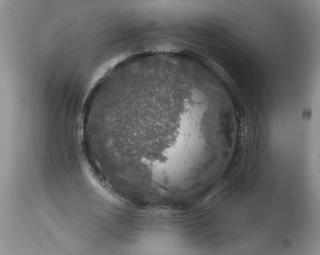 X0000113600726200910021740