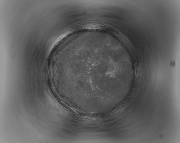 X0000113600727200910021740