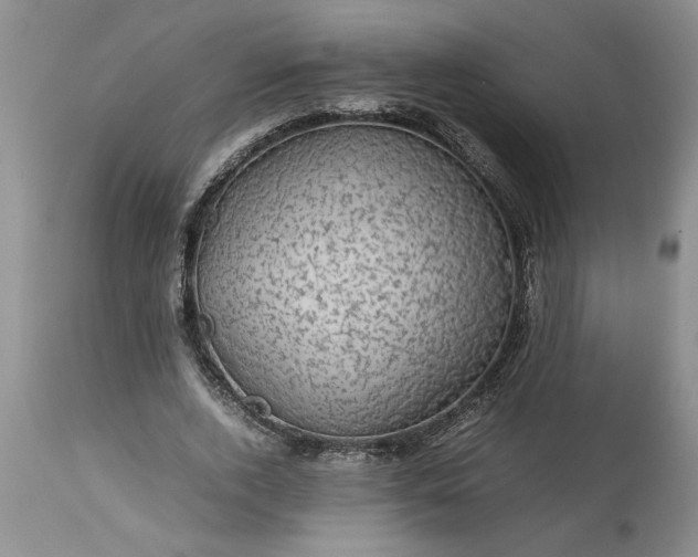 X0000113600728200910021740