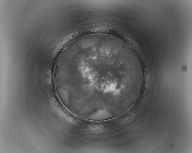 X0000113600729200910021740