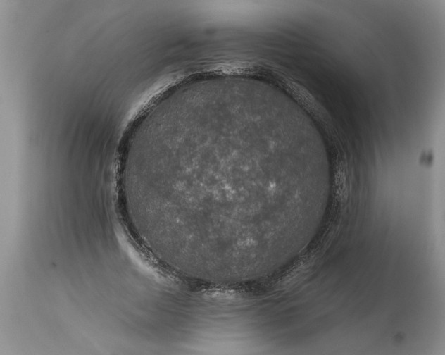 X0000113600730200910021740