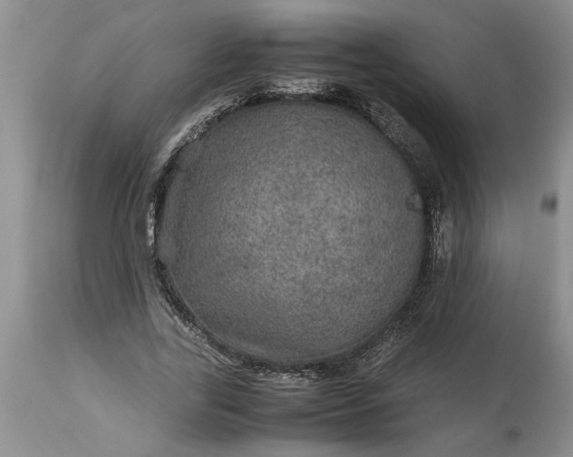 X0000113600731200910021740