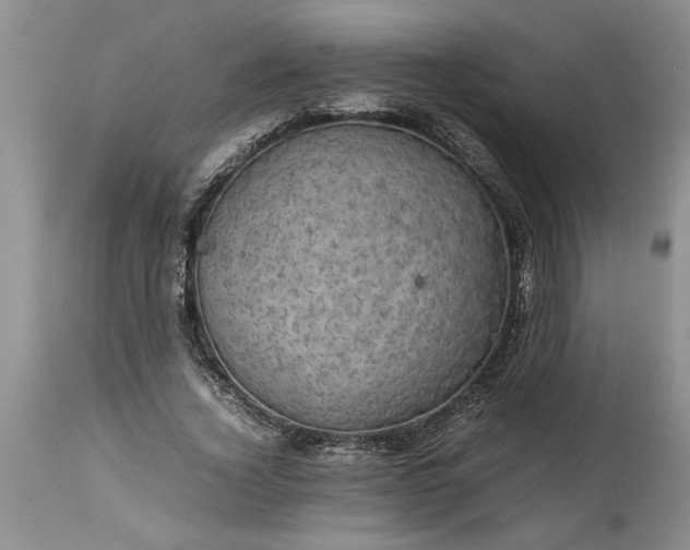 X0000113600732200910021740