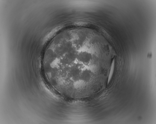 X0000113600734200910021740