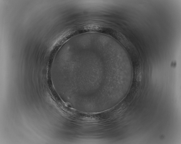 X0000113600735200910021740