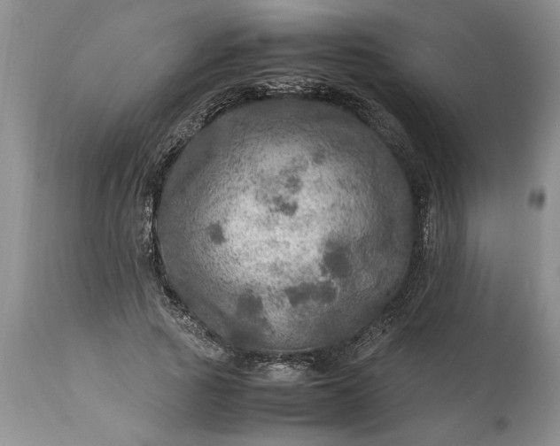 X0000113600737200910021740