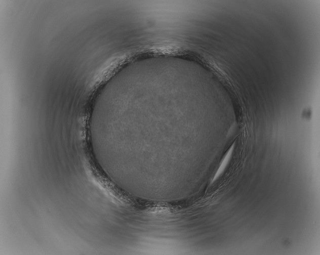 X0000113600738200910021740