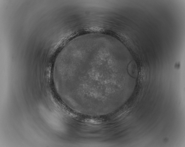 X0000113600739200910021740