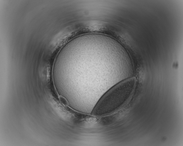 X0000113600740200910021740