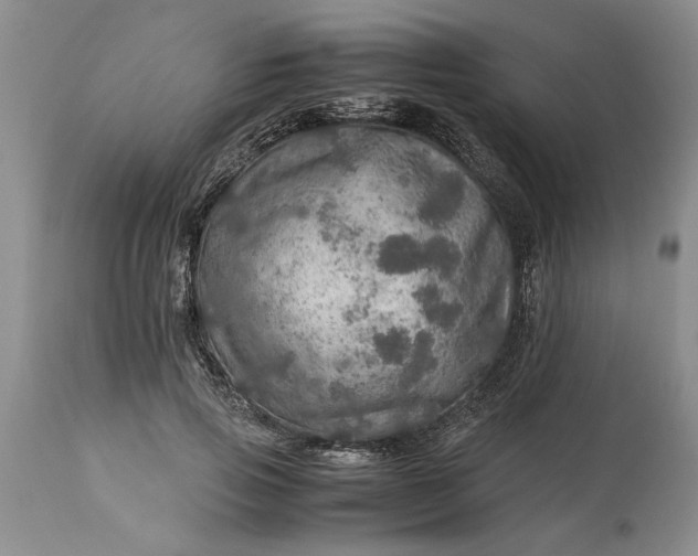 X0000113600741200910021740