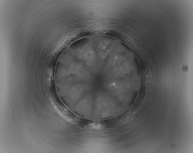 X0000113600742200910021740