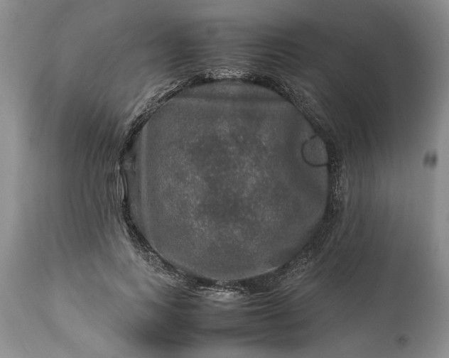 X0000113600743200910021740