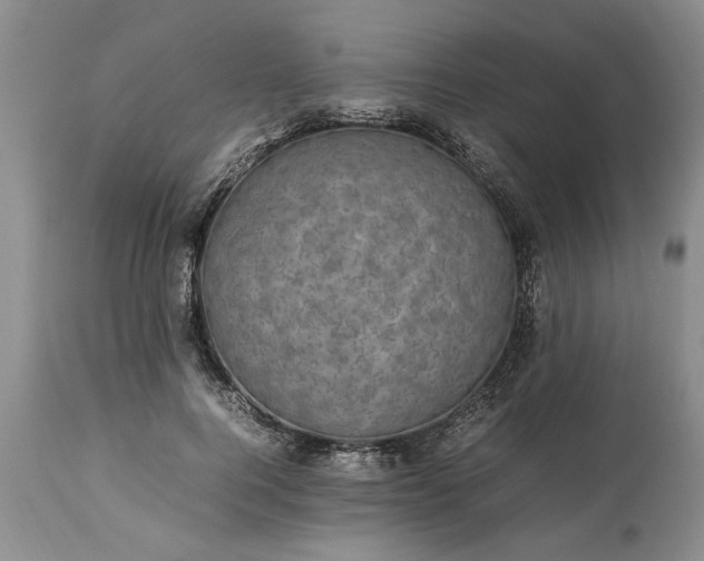 X0000113600744200910021740