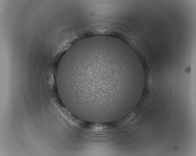 X0000113600746200910021740