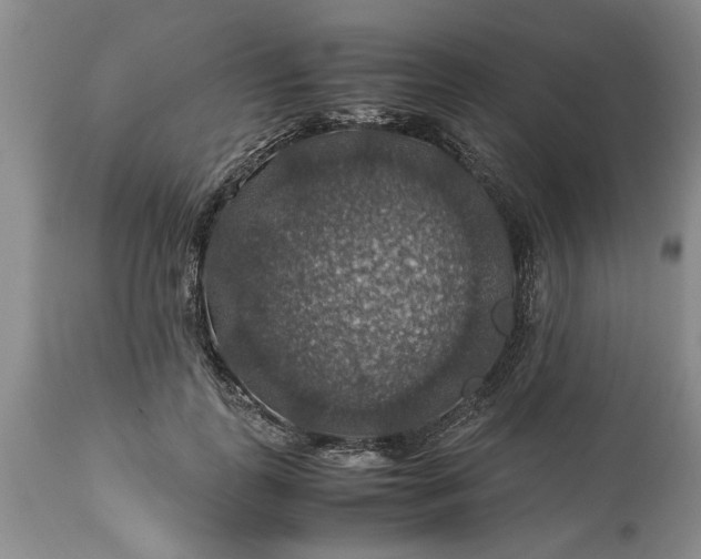 X0000113600747200910021740