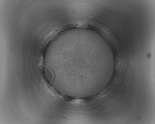 X0000113600748200910021740