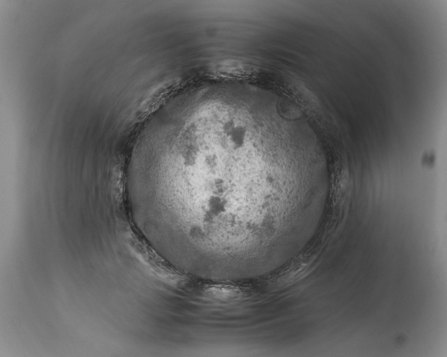 X0000113600749200910021740