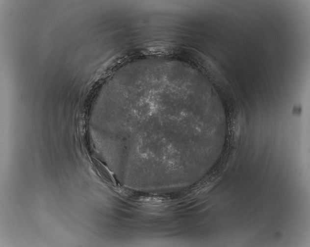 X0000113600751200910021740