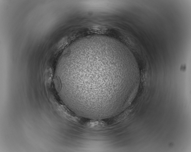 X0000113600752200910021740