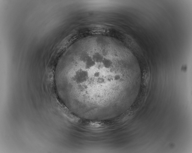 X0000113600753200910021740