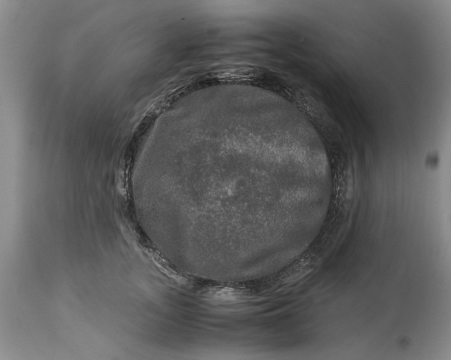 X0000113600755200910021741